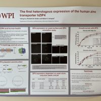 Prof. Dempski’s Poster_01 