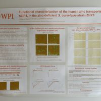 Prof. Dempski’s Poster_02 