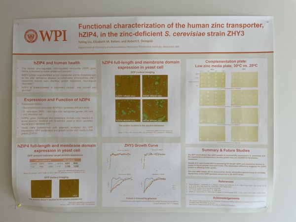 Prof. Dempski’s Poster_02