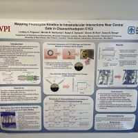 Prof. Dempski’s Poster_03 
